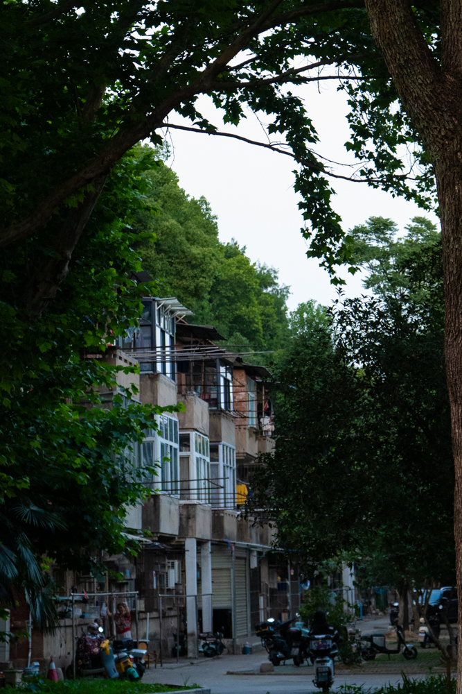 工村的家属楼可能需要翻新一下了（x