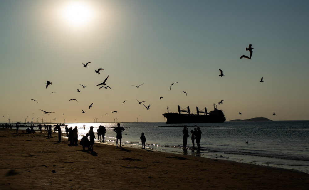 布鲁维斯沉船，一艘搁浅的货船（？）网红意义大于存在意义