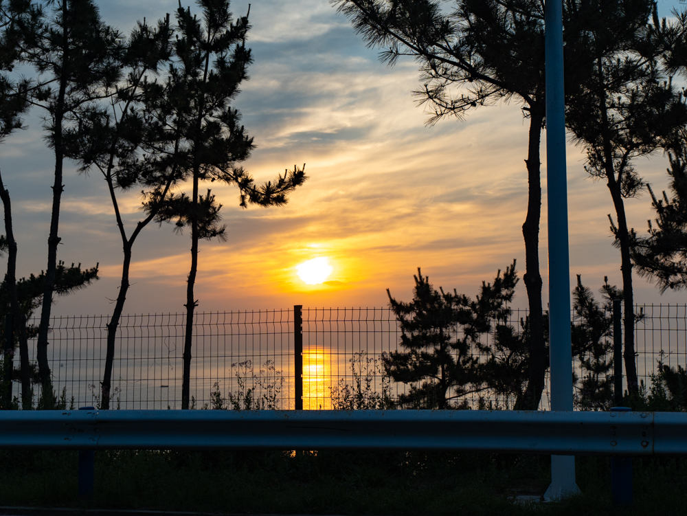 后来打算吃完饭去看日落，结果走的太慢了还没走到海边就日落了...在沿海公路拍了几张