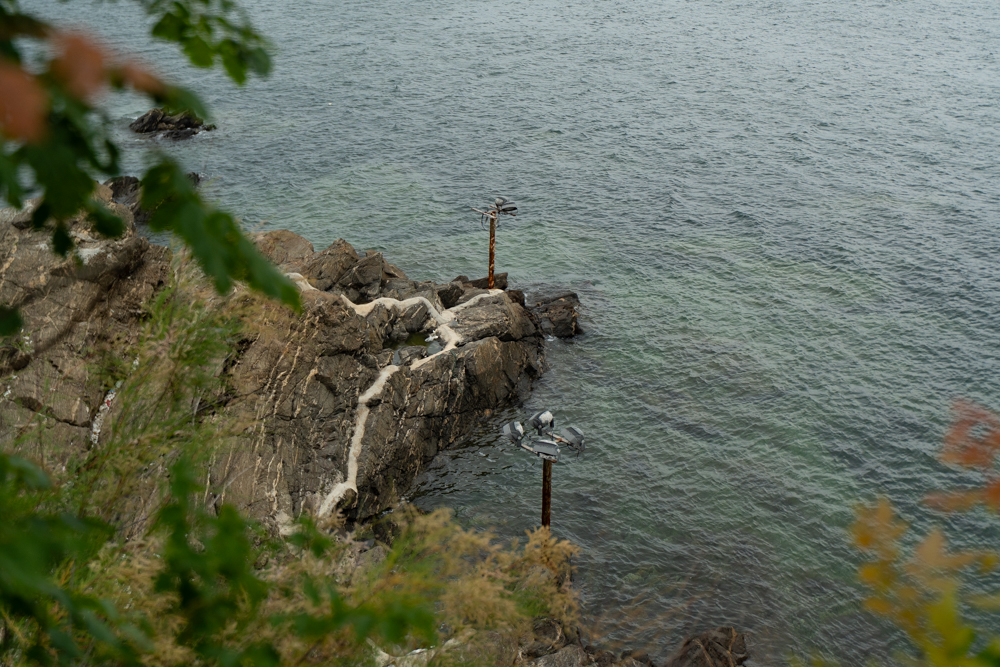 第二天接着逛公园